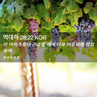Picture 02 - 역대하 28:22 KOR - 이 아하스왕이 곤고할 때에 더욱 - Bible Verse Picture