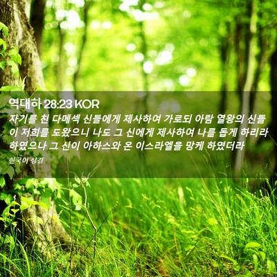 Picture 02 - 역대하 28:23 KOR - 자기를 친 다메섹 신들에게 제사하여 - Bible Verse Picture
