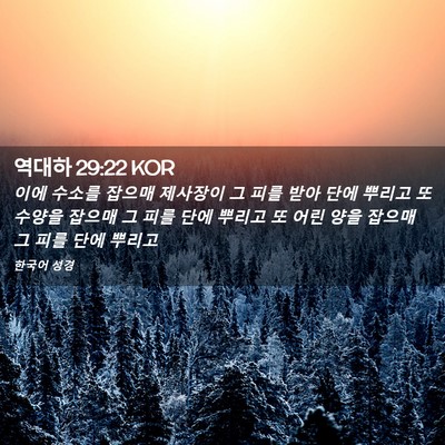 Picture 02 - 역대하 29:22 KOR - 이에 수소를 잡으매 제사장이 그 - Bible Verse Picture