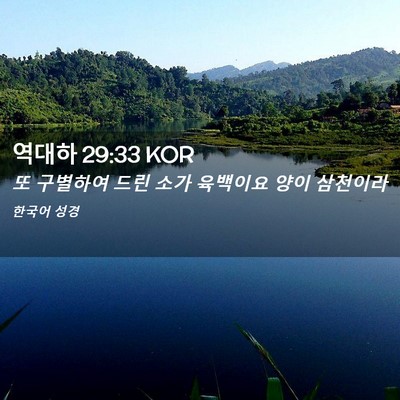 Picture 02 - 역대하 29:33 KOR - 또 구별하여 드린 소가 육백이요 - Bible Verse Picture