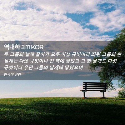 Picture 02 - 역대하 3:11 KOR - 두 그룹의 날개 길이가 모두 이십 - Bible Verse Picture