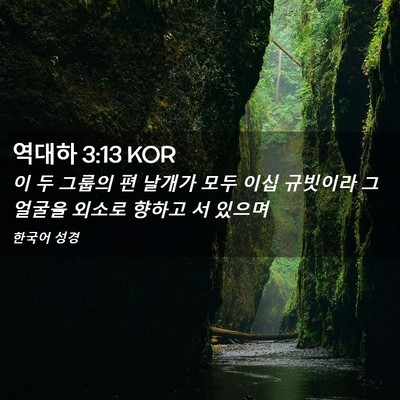 Picture 02 - 역대하 3:13 KOR - 이 두 그룹의 편 날개가 모두 이십 - Bible Verse Picture