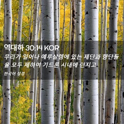 Picture 02 - 역대하 30:14 KOR - 무리가 일어나 예루살렘에 있는 - Bible Verse Picture