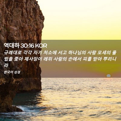 Picture 02 - 역대하 30:16 KOR - 규례대로 각각 자기 처소에 서고 - Bible Verse Picture