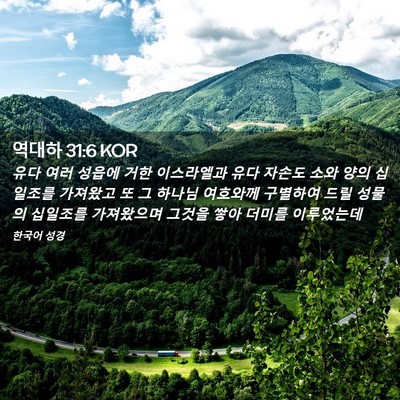 Picture 02 - 역대하 31:6 KOR - 유다 여러 성읍에 거한 이스라엘과 - Bible Verse Picture
