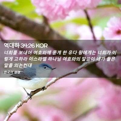 Picture 02 - 역대하 34:26 KOR - 너희를 보내어 여호와께 묻게 한 - Bible Verse Picture