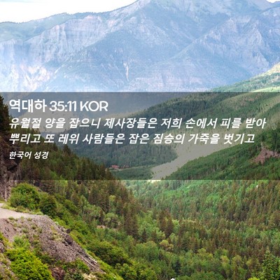 Picture 02 - 역대하 35:11 KOR - 유월절 양을 잡으니 제사장들은 저희 - Bible Verse Picture