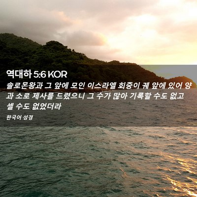 Picture 02 - 역대하 5:6 KOR - 솔로몬왕과 그 앞에 모인 이스라엘 - Bible Verse Picture