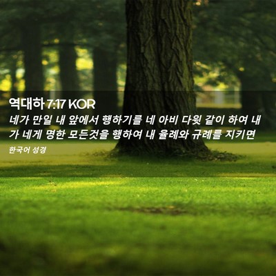 Picture 02 - 역대하 7:17 KOR - 네가 만일 내 앞에서 행하기를 네 - Bible Verse Picture