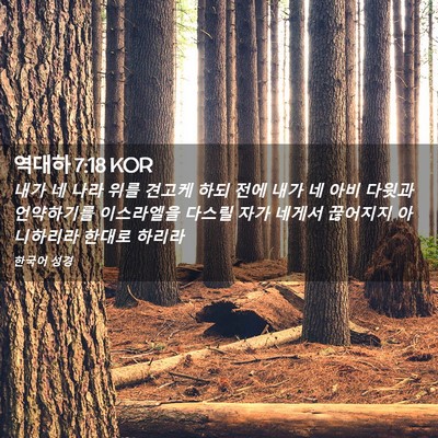 Picture 02 - 역대하 7:18 KOR - 내가 네 나라 위를 견고케 하되 전에 - Bible Verse Picture