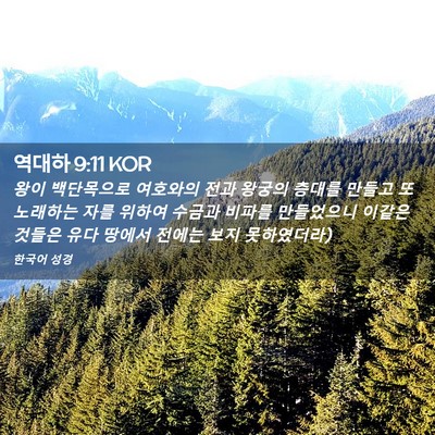 Picture 02 - 역대하 9:11 KOR - 왕이 백단목으로 여호와의 전과 - Bible Verse Picture