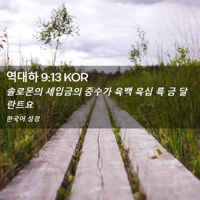 Picture 02 - 역대하 9:13 KOR - 솔로몬의 세입금의 중수가 육백 육십 - Bible Verse Picture