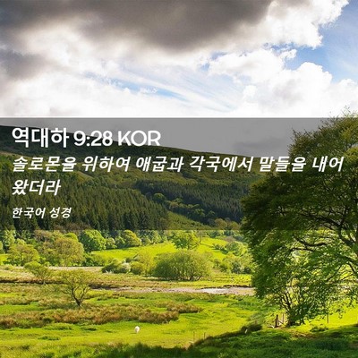 Picture 02 - 역대하 9:28 KOR - 솔로몬을 위하여 애굽과 각국에서 - Bible Verse Picture