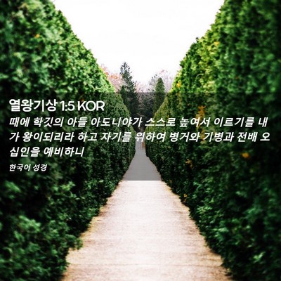 Picture 02 - 열왕기상 1:5 KOR - 때에 학깃의 아들 아도니야가 스스로 - Bible Verse Picture