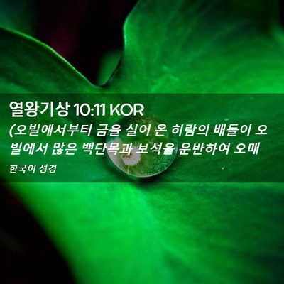 Picture 02 - 열왕기상 10:11 KOR - (오빌에서부터 금을 실어 온 히람의 - Bible Verse Picture