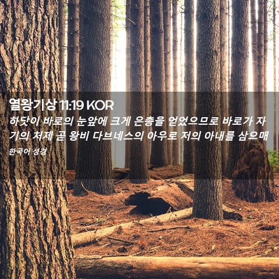 Picture 02 - 열왕기상 11:19 KOR - 하닷이 바로의 눈앞에 크게 은총을 - Bible Verse Picture