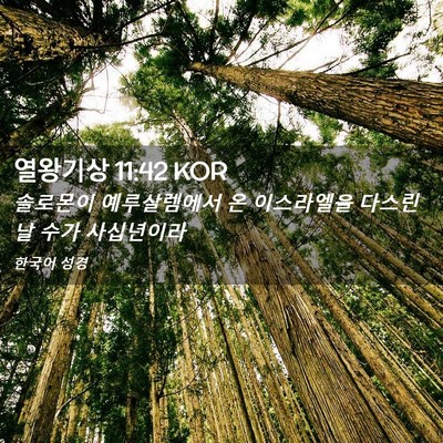 Picture 02 - 열왕기상 11:42 KOR - 솔로몬이 예루살렘에서 온 - Bible Verse Picture
