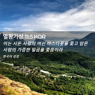 Picture 02 - 열왕기상 11:5 KOR - 이는 시돈 사람의 여신 아스다롯을 - Bible Verse Picture
