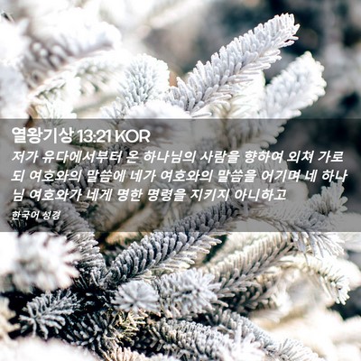 Picture 02 - 열왕기상 13:21 KOR - 저가 유다에서부터 온 하나님의 - Bible Verse Picture
