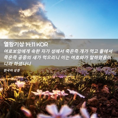 Picture 02 - 열왕기상 14:11 KOR - 여로보암에게 속한 자가 성에서 - Bible Verse Picture