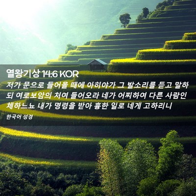 Picture 02 - 열왕기상 14:6 KOR - 저가 문으로 들어올 때에 아히야가 - Bible Verse Picture