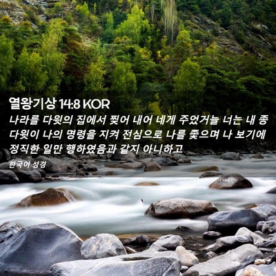 Picture 02 - 열왕기상 14:8 KOR - 나라를 다윗의 집에서 찢어 내어 - Bible Verse Picture