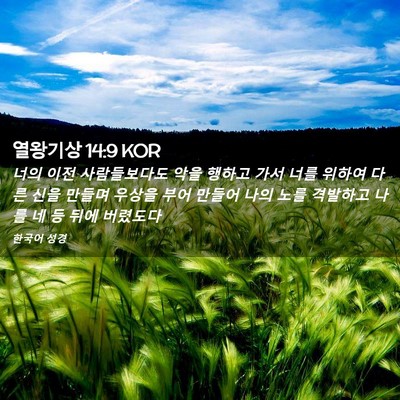 Picture 02 - 열왕기상 14:9 KOR - 너의 이전 사람들보다도 악을 행하고 - Bible Verse Picture