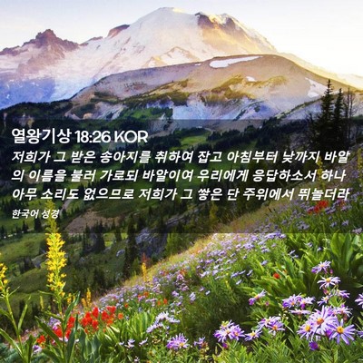 Picture 02 - 열왕기상 18:26 KOR - 저희가 그 받은 송아지를 취하여 - Bible Verse Picture