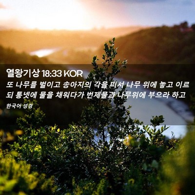Picture 02 - 열왕기상 18:33 KOR - 또 나무를 벌이고 송아지의 각을 - Bible Verse Picture