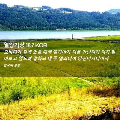 Picture 02 - 열왕기상 18:7 KOR - 오바댜가 길에 있을 때에 엘리야가 - Bible Verse Picture