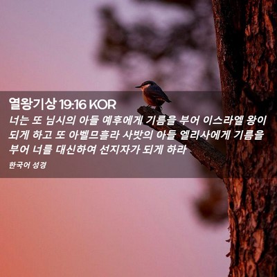 Picture 02 - 열왕기상 19:16 KOR - 너는 또 님시의 아들 예후에게 - Bible Verse Picture