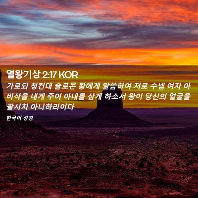 Picture 02 - 열왕기상 2:17 KOR - 가로되 청컨대 솔로몬 왕에게 - Bible Verse Picture