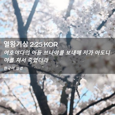 Picture 02 - 열왕기상 2:25 KOR - 여호야다의 아들 브나야를 보내매 - Bible Verse Picture