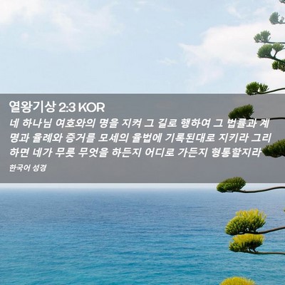 Picture 02 - 열왕기상 2:3 KOR - 네 하나님 여호와의 명을 지켜 그 - Bible Verse Picture