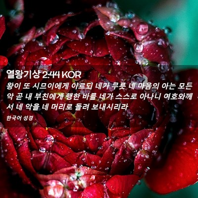 Picture 02 - 열왕기상 2:44 KOR - 왕이 또 시므이에게 이르되 네가 - Bible Verse Picture