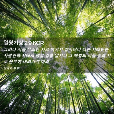 Picture 02 - 열왕기상 2:9 KOR - 그러나 저를 무죄한 자로 여기지 - Bible Verse Picture