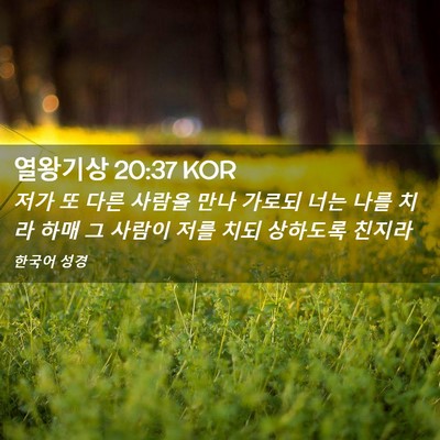 Picture 02 - 열왕기상 20:37 KOR - 저가 또 다른 사람을 만나 가로되 - Bible Verse Picture