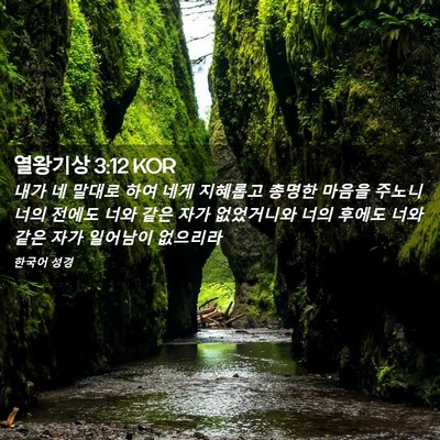 Picture 02 - 열왕기상 3:12 KOR - 내가 네 말대로 하여 네게 지혜롭고 - Bible Verse Picture