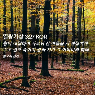 Picture 02 - 열왕기상 3:27 KOR - 왕이 대답하여 가로되 산 아들을 저 - Bible Verse Picture