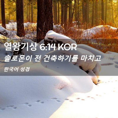 Picture 02 - 열왕기상 6:14 KOR - 솔로몬이 전 건축하기를 - Bible Verse Picture