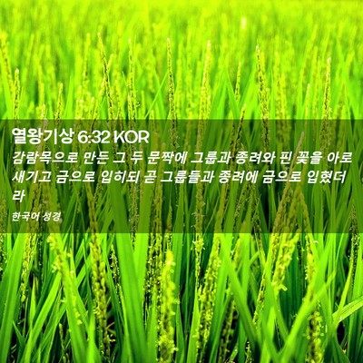Picture 02 - 열왕기상 6:32 KOR - 감람목으로 만든 그 두 문짝에 - Bible Verse Picture