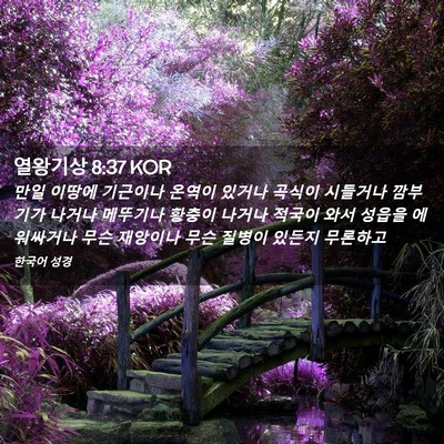 Picture 02 - 열왕기상 8:37 KOR - 만일 이땅에 기근이나 온역이 있거나 - Bible Verse Picture
