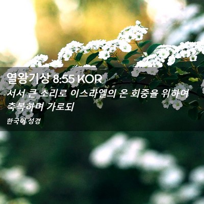 Picture 02 - 열왕기상 8:55 KOR - 서서 큰 소리로 이스라엘의 온 - Bible Verse Picture