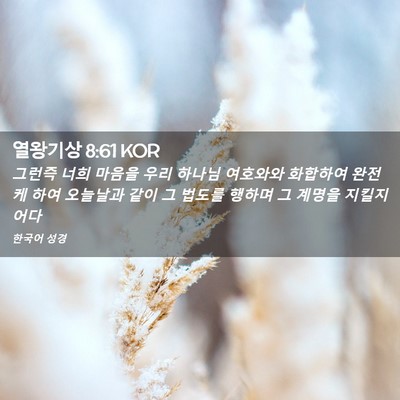 Picture 02 - 열왕기상 8:61 KOR - 그런즉 너희 마음을 우리 하나님 - Bible Verse Picture
