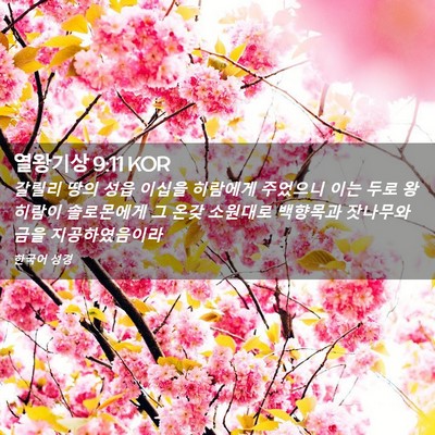 Picture 02 - 열왕기상 9:11 KOR - 갈릴리 땅의 성읍 이십을 히람에게 - Bible Verse Picture