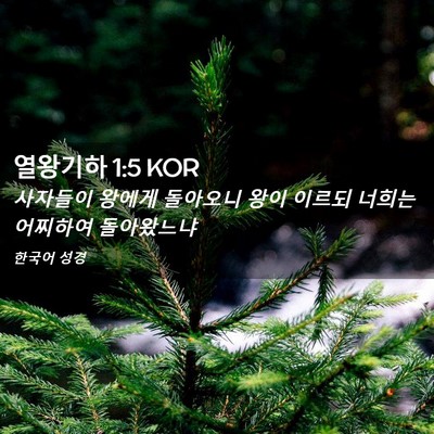 Picture 02 - 열왕기하 1:5 KOR - 사자들이 왕에게 돌아오니 왕이 - Bible Verse Picture