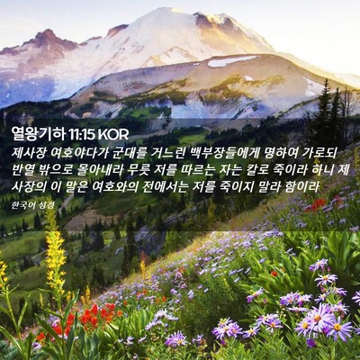 Picture 02 - 열왕기하 11:15 KOR - 제사장 여호야다가 군대를 거느린 - Bible Verse Picture