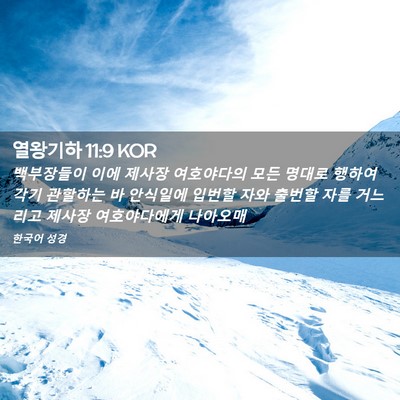 Picture 02 - 열왕기하 11:9 KOR - 백부장들이 이에 제사장 여호야다의 - Bible Verse Picture