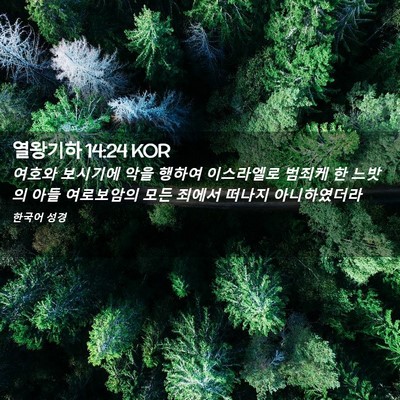 Picture 02 - 열왕기하 14:24 KOR - 여호와 보시기에 악을 행하여 - Bible Verse Picture