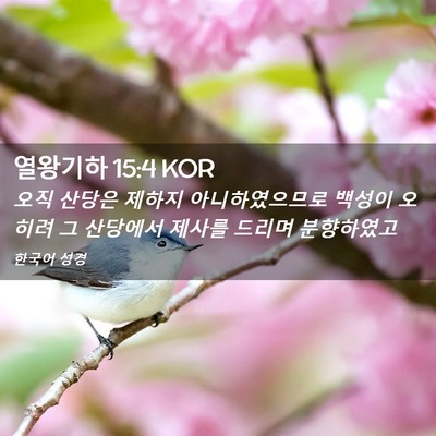 Picture 02 - 열왕기하 15:4 KOR - 오직 산당은 제하지 아니하였으므로 - Bible Verse Picture